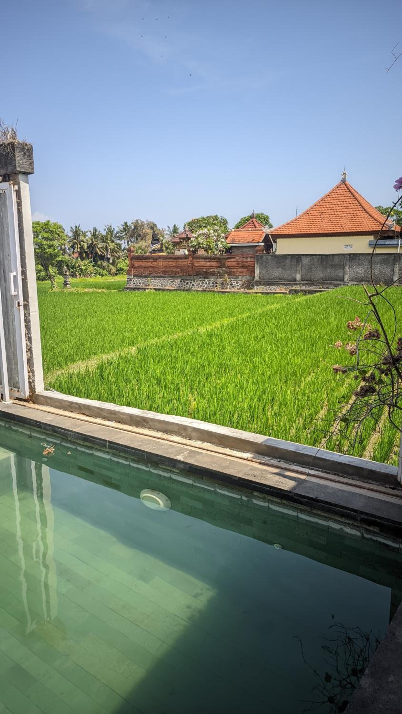 One-Bedroom Villa - Photo 10