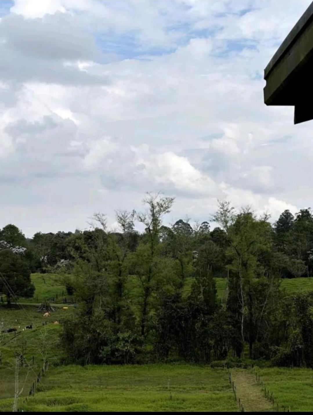Quadruple Room with Garden View photo 2