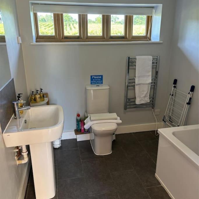 One-Bedroom House photo 2