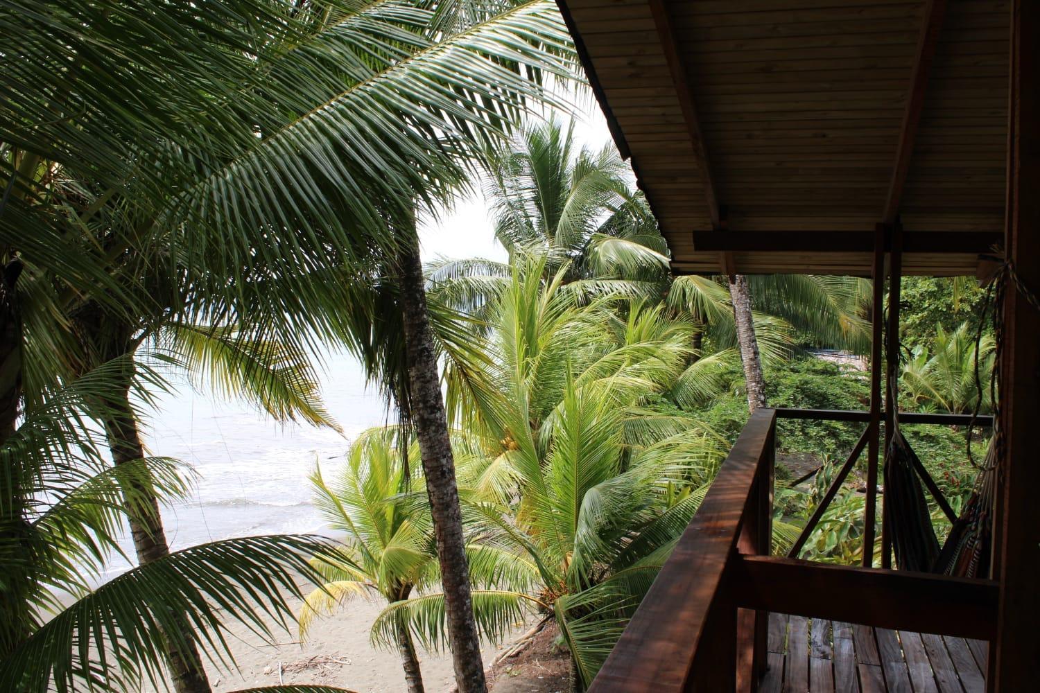 Studio with Sea View photo 3