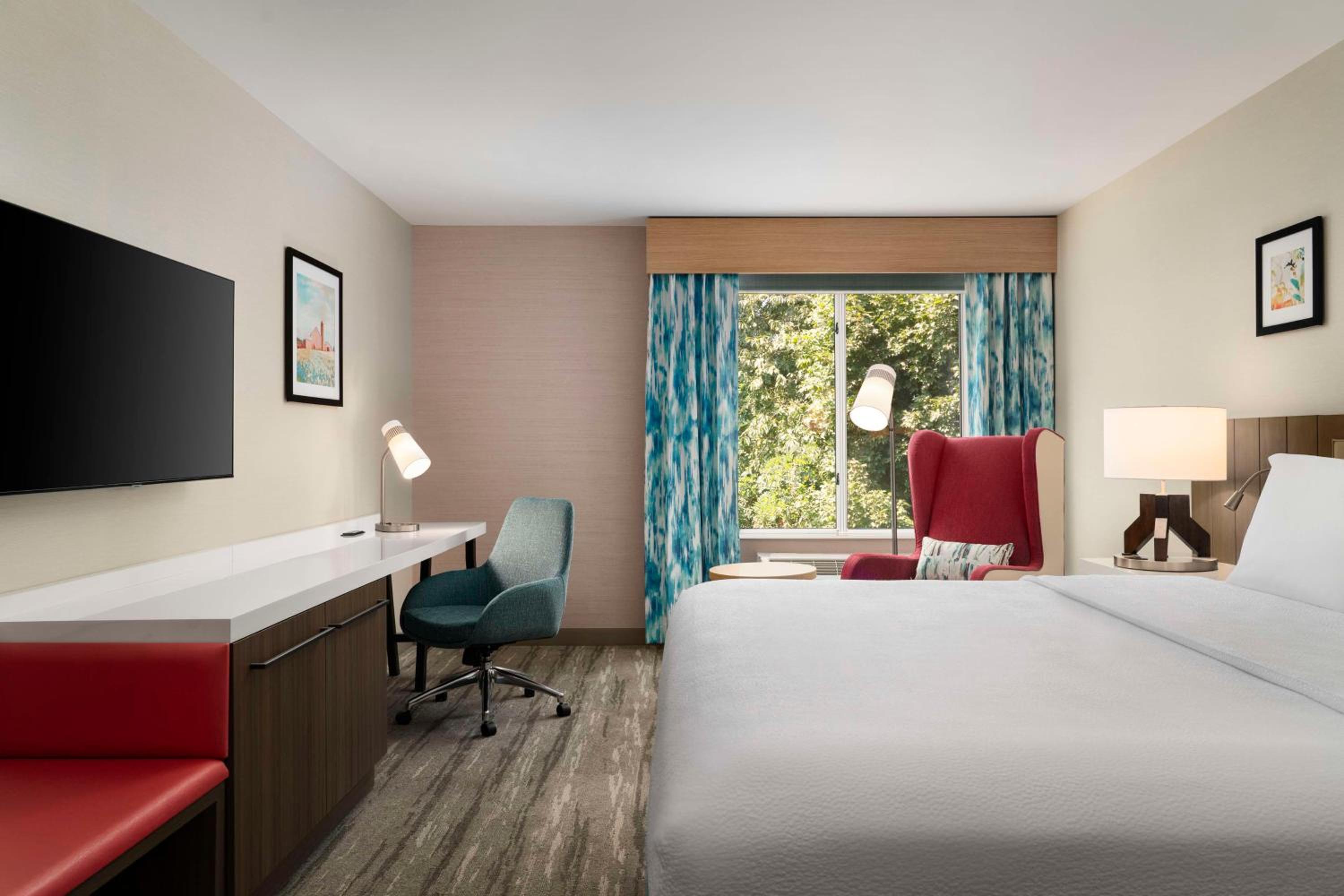 King Room - Photo 1