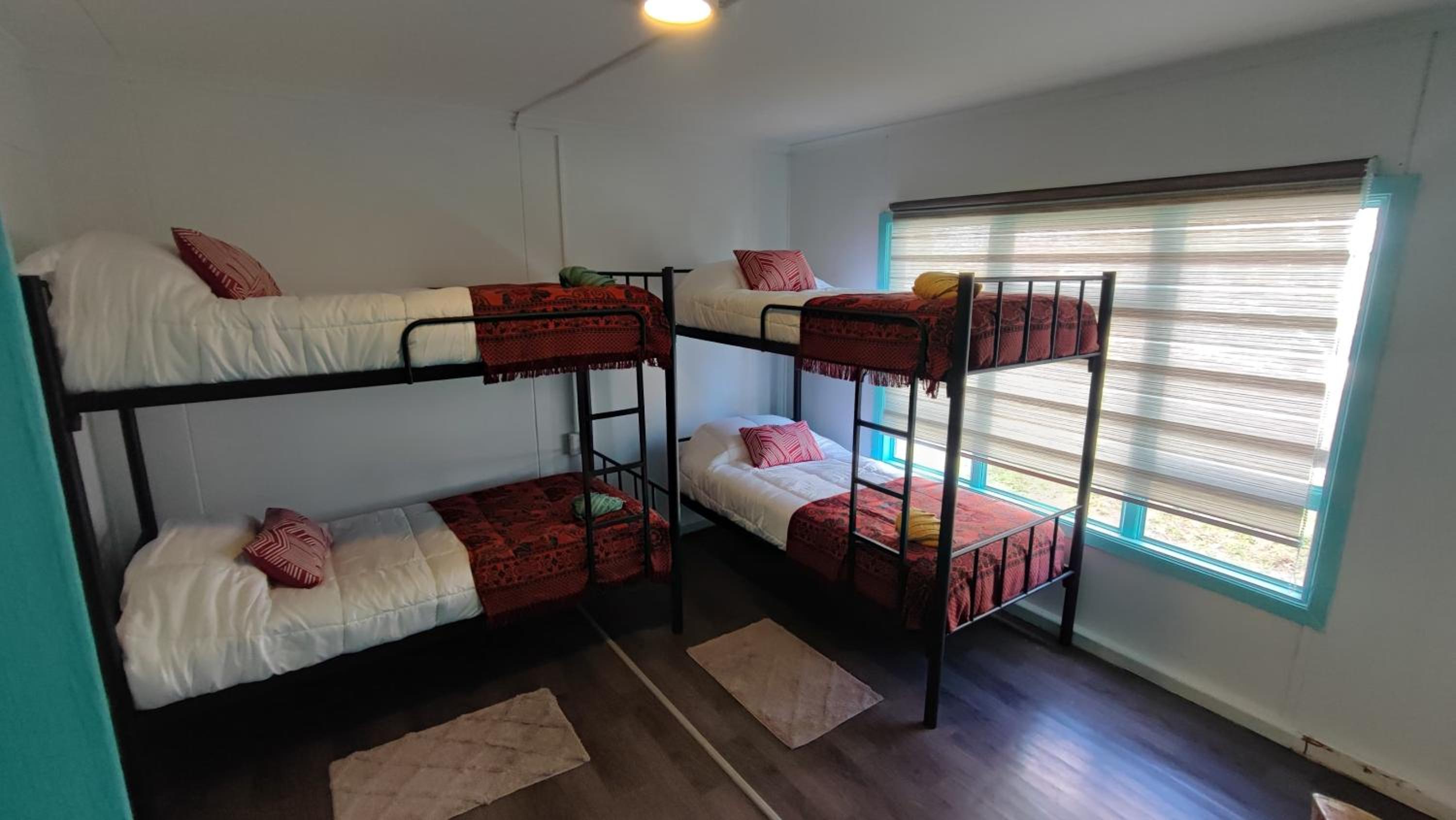 Single Bed In 4-Bed Dormitory Room