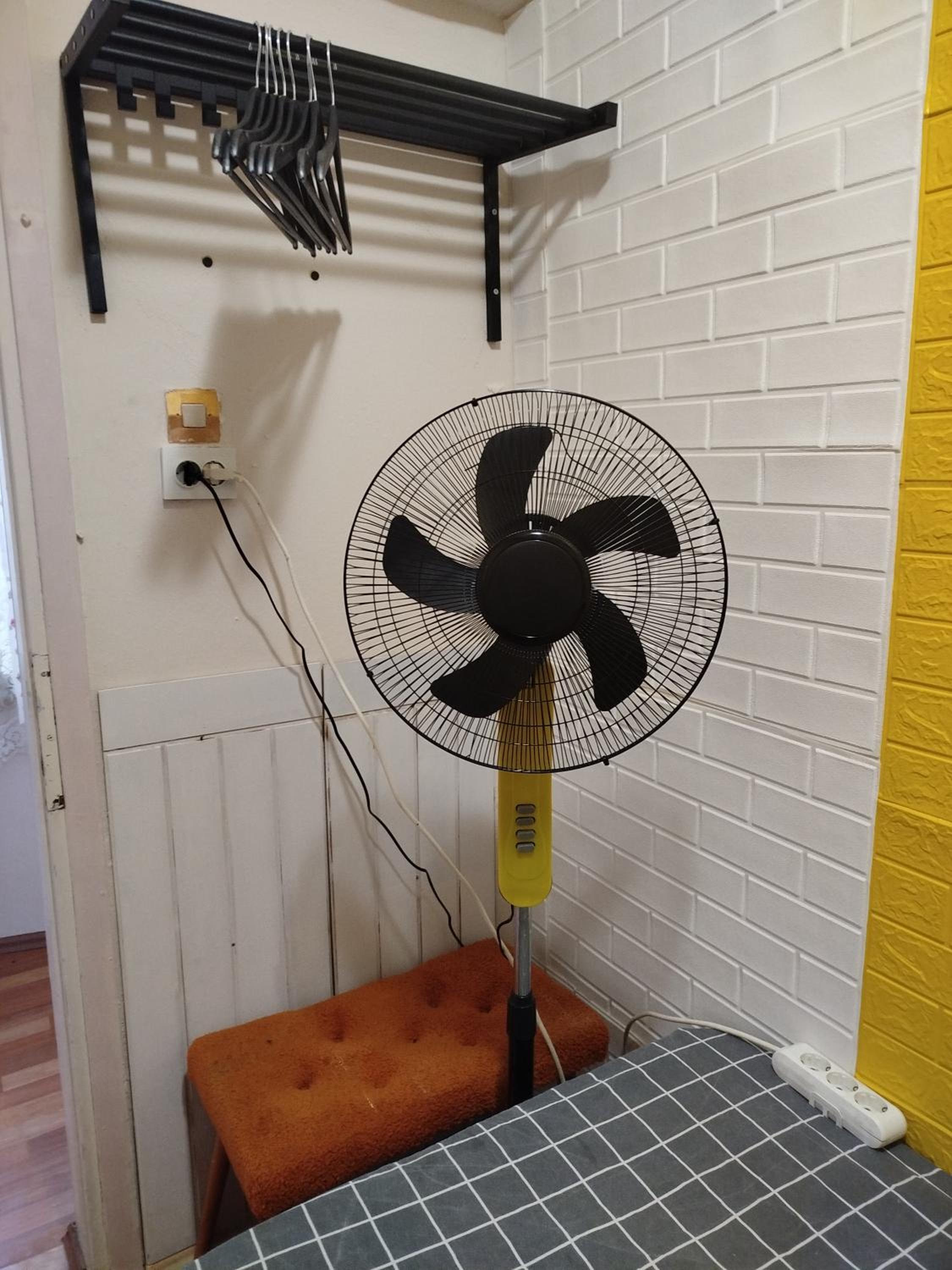 Single Room photo 2