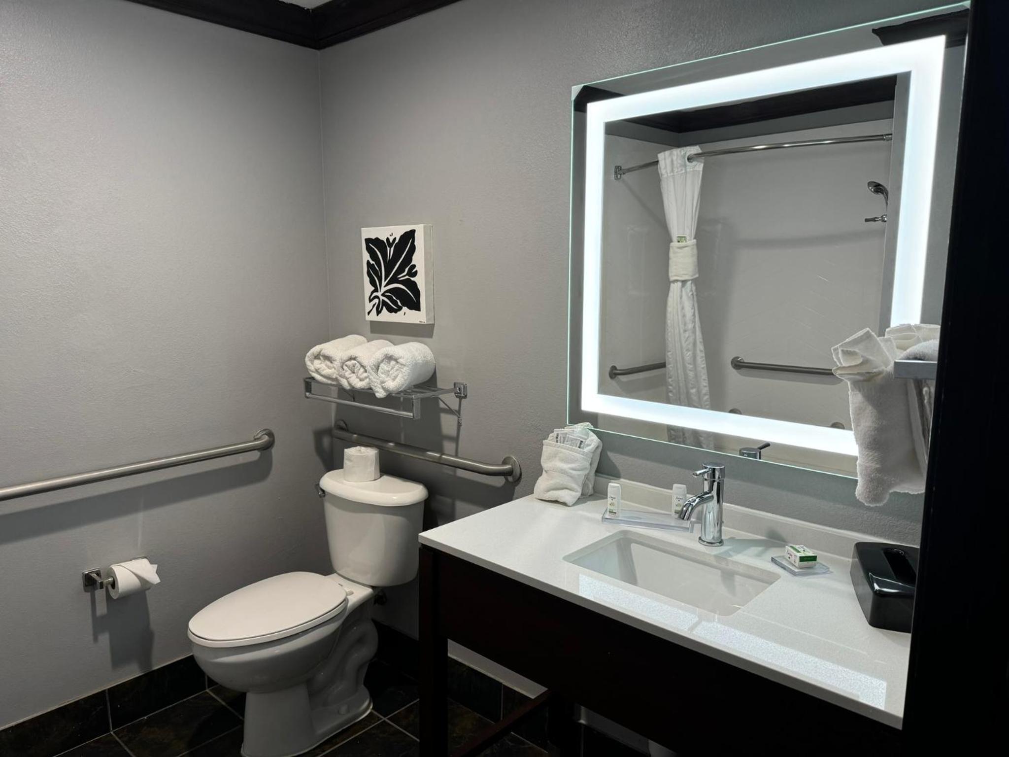 King Room with Bath Tub - Mobility/Hearing Accessible - Non-Smoking - Photo 10