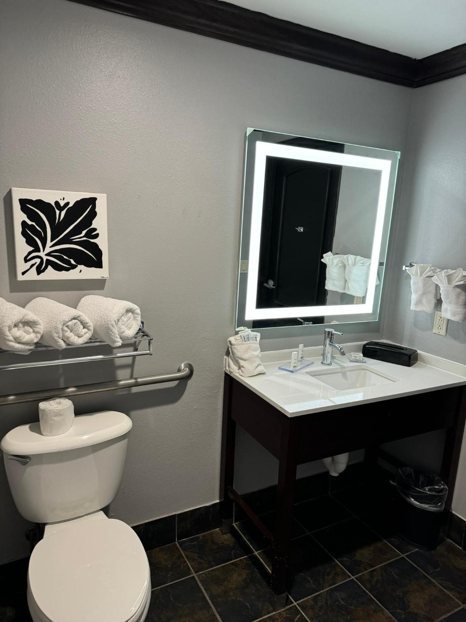 King Room with Bath Tub - Mobility/Hearing Accessible - Non-Smoking - Photo 5