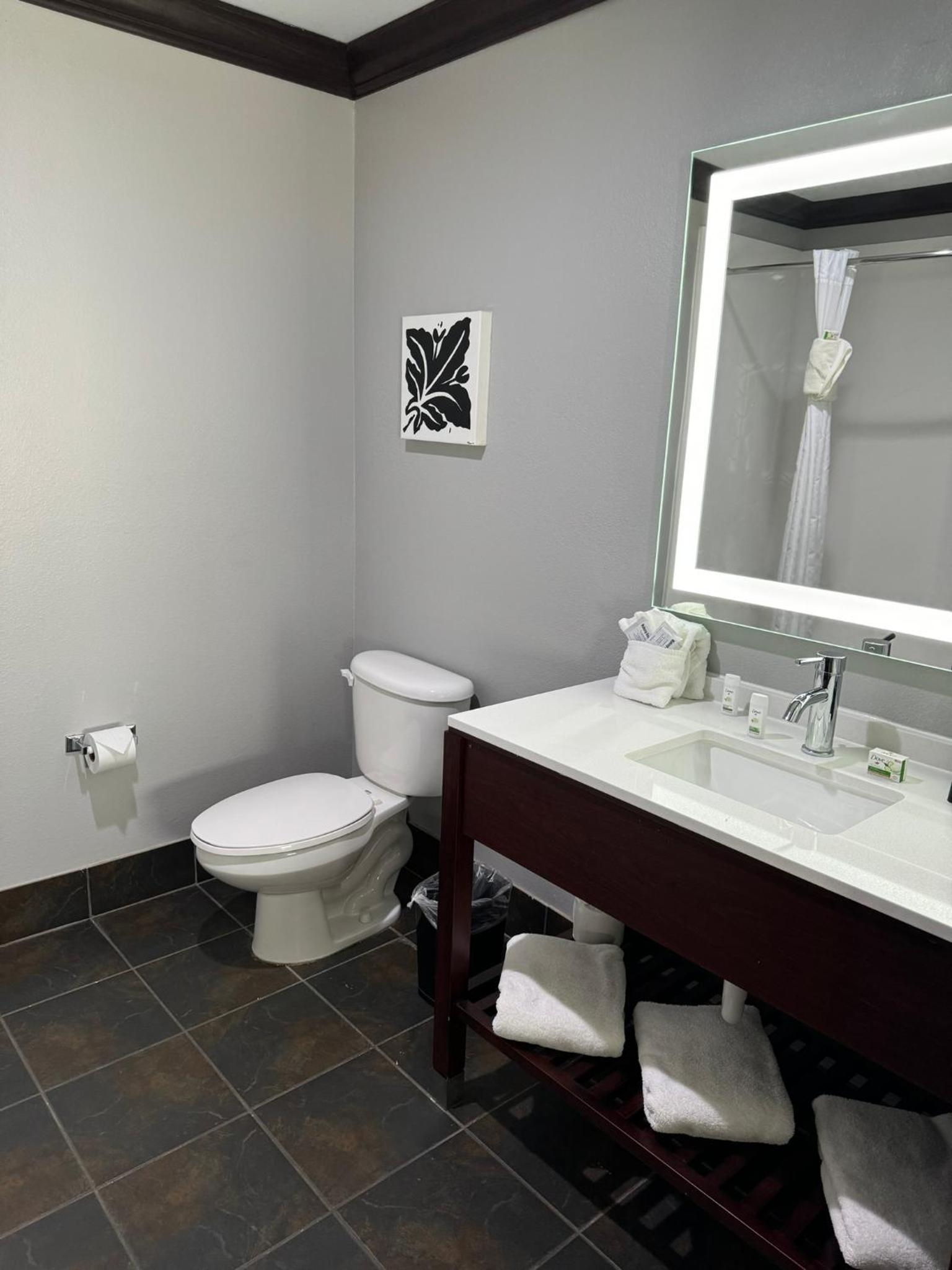 King Room- Non-Smoking - Photo 8