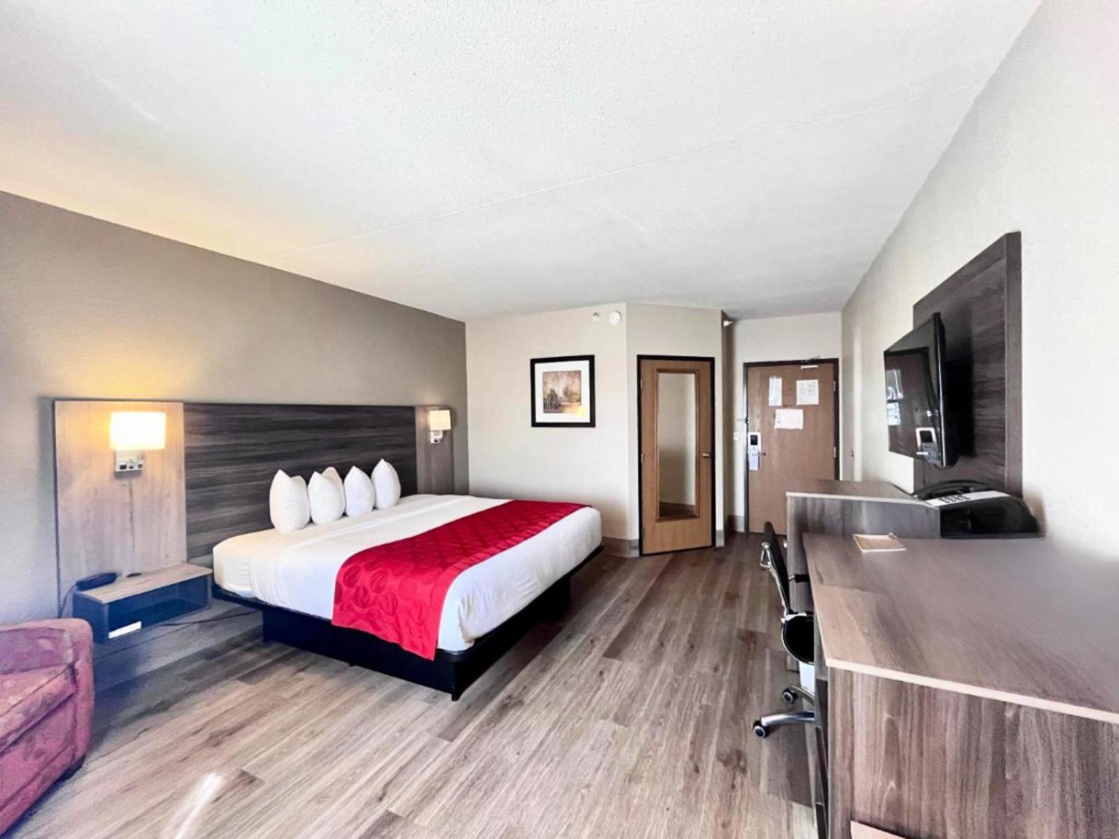 1 King Bed, Non-Smoking - Photo 1