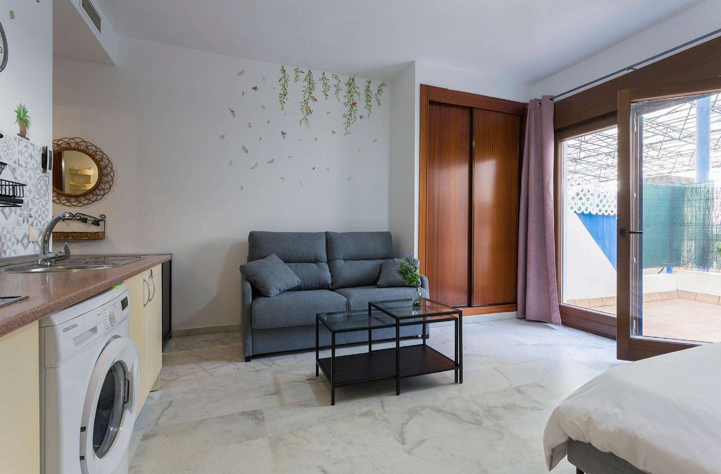 Studio with Terrace photo 3