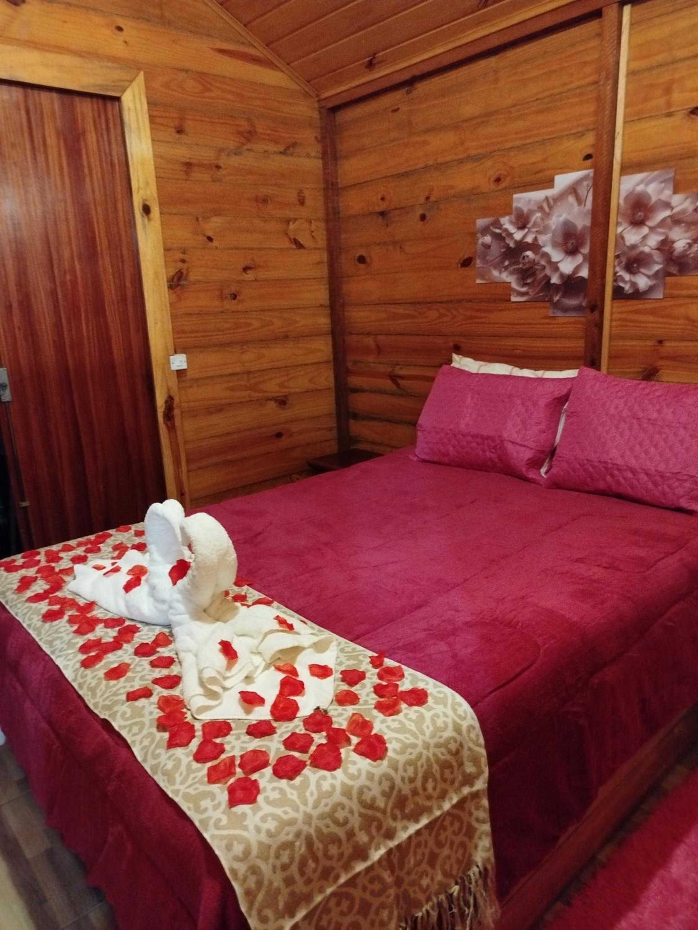 One-Bedroom Chalet photo 2