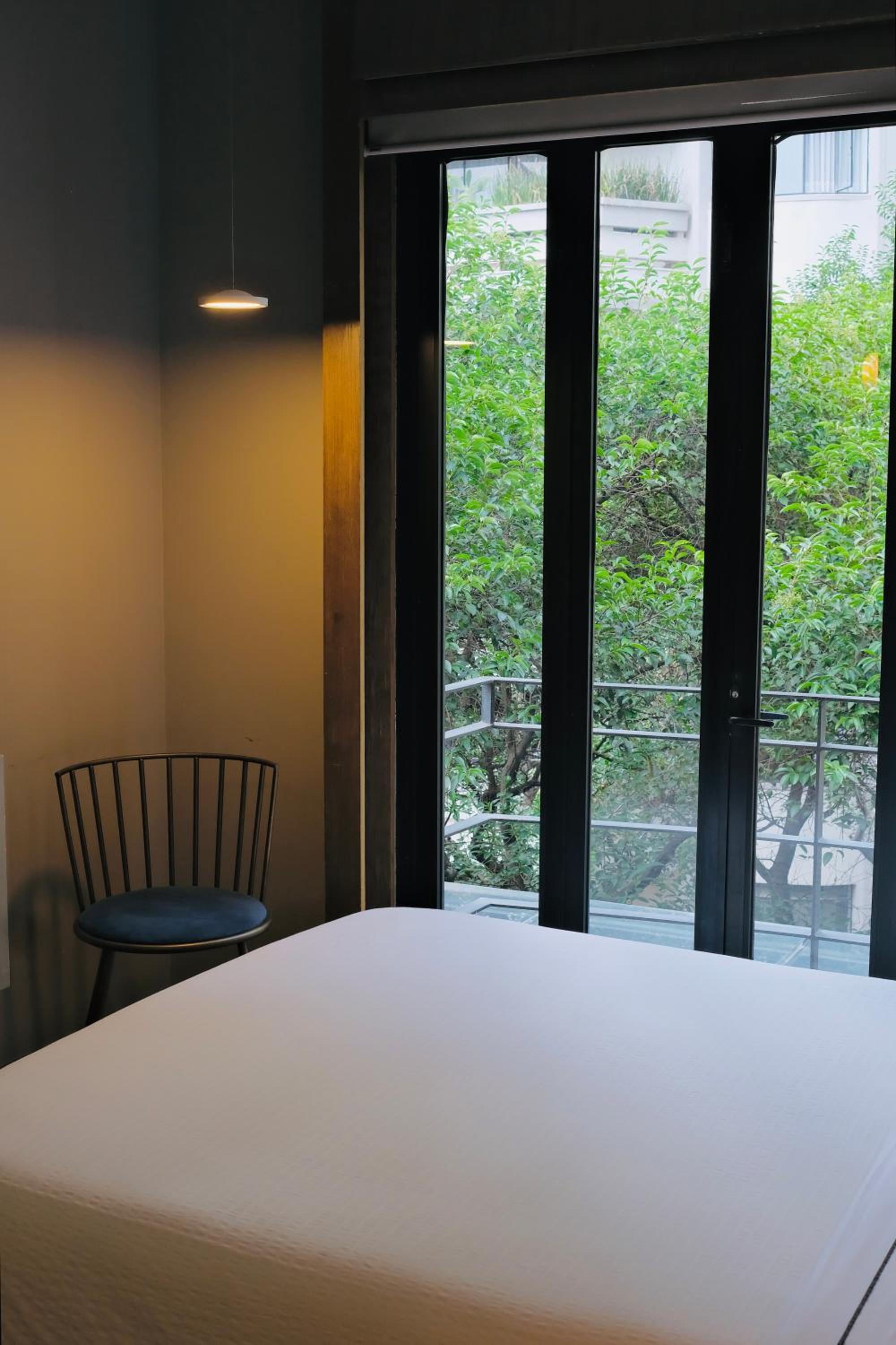 Suite with Terrace photo 1