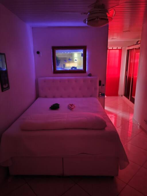One-Bedroom Villa photo 2