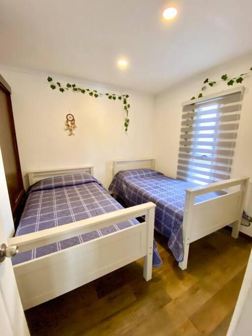 Three-Bedroom House photo 3