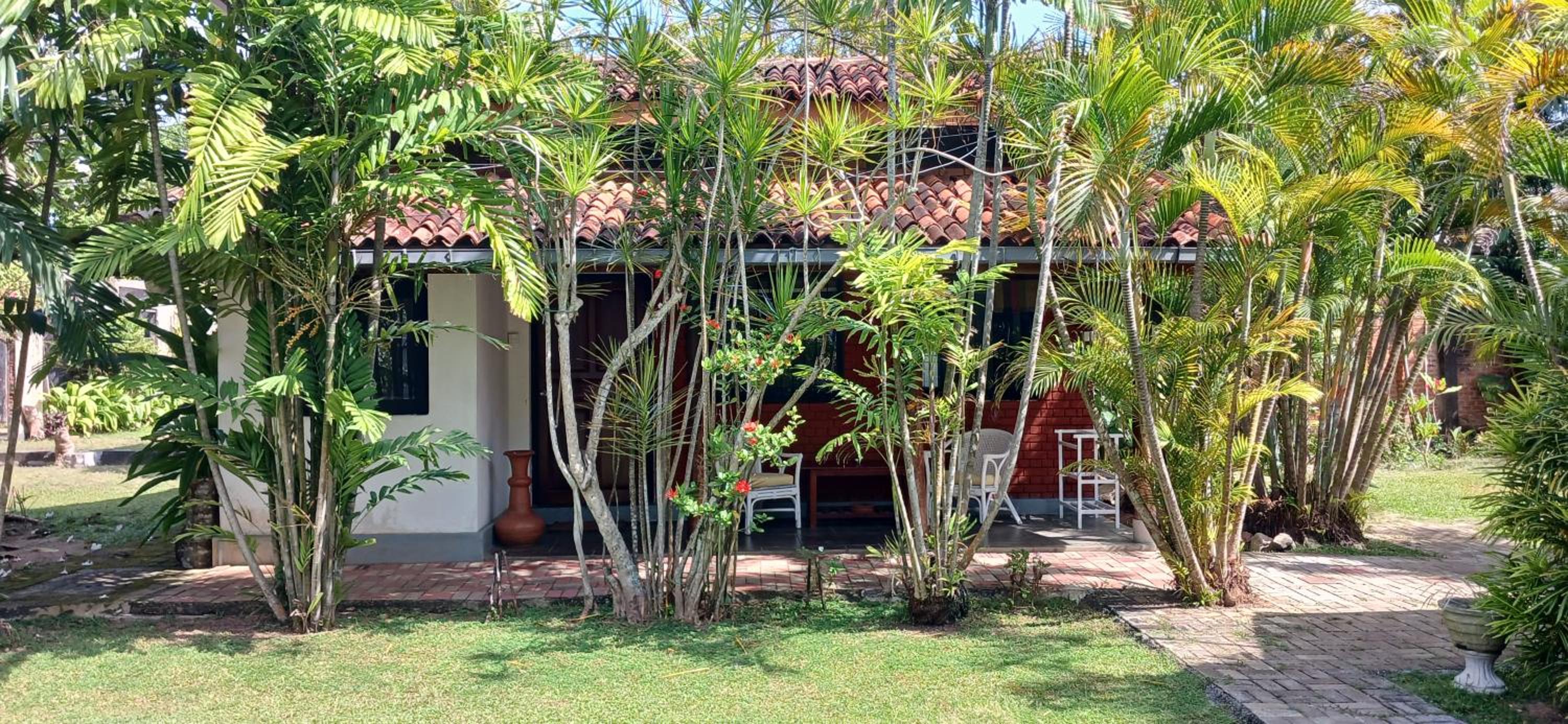 Double Room with Garden View photo 2