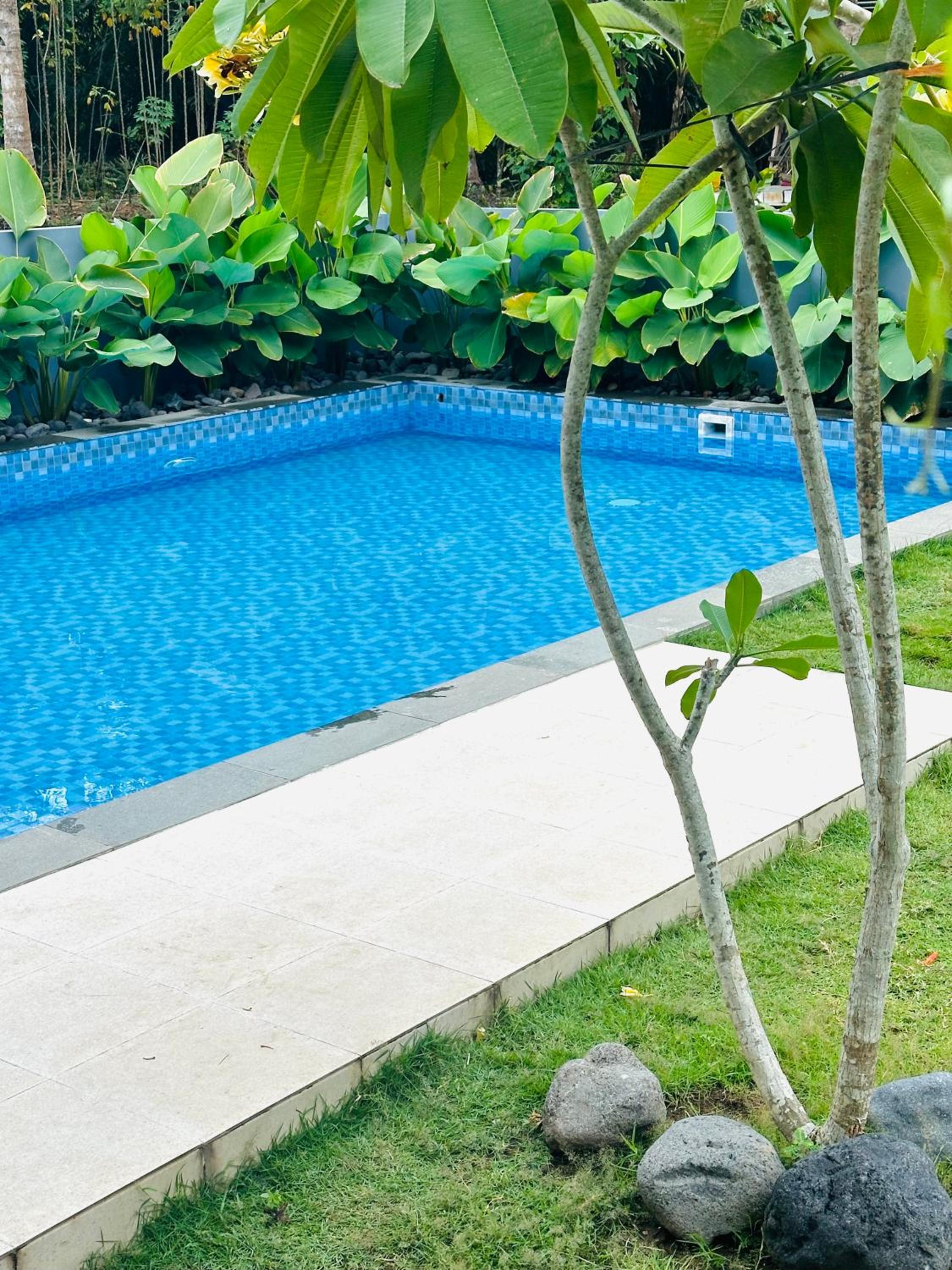 Three-Bedroom Villa photo 2