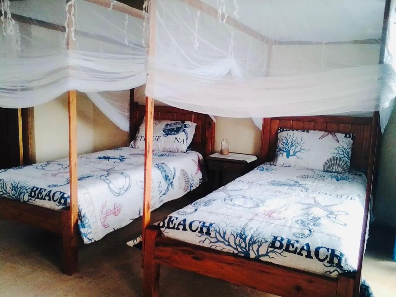 Double Or Twin Room photo 1