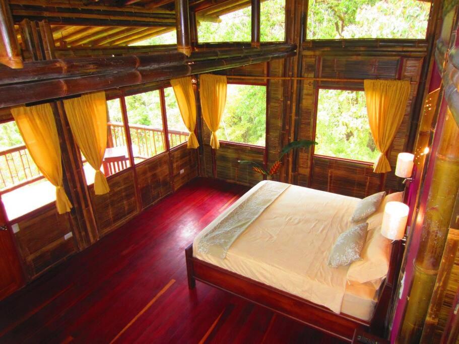 One-Bedroom House photo 1