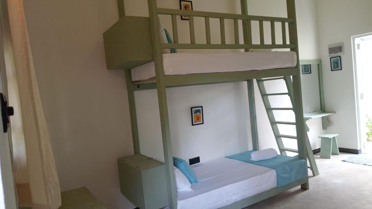 Bunk Bed in Mixed Dormitory Room photo 1