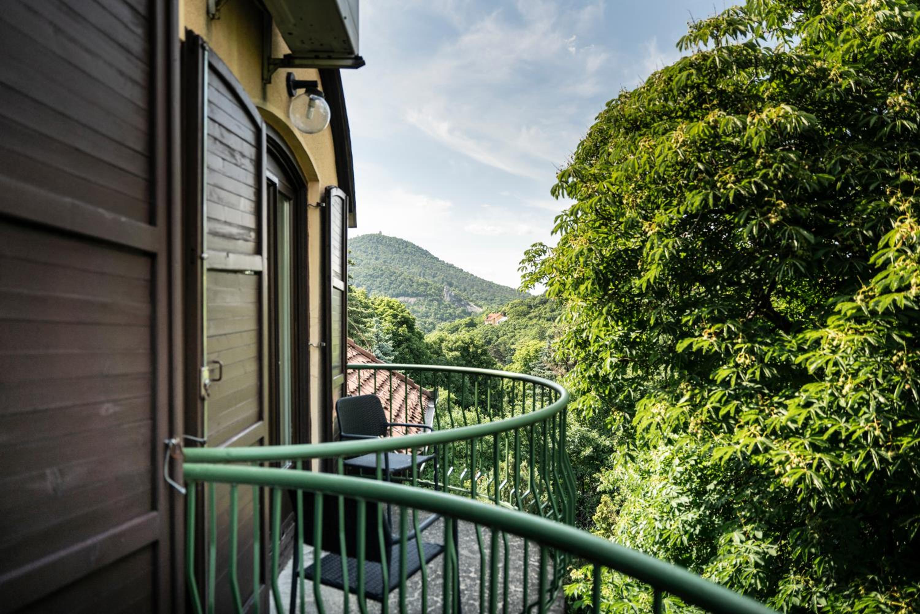 Double or Twin Room with Balcony and Mountain View - Photo 7