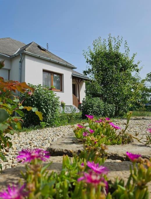 Two-Bedroom Apartment with Mountain View photo 2