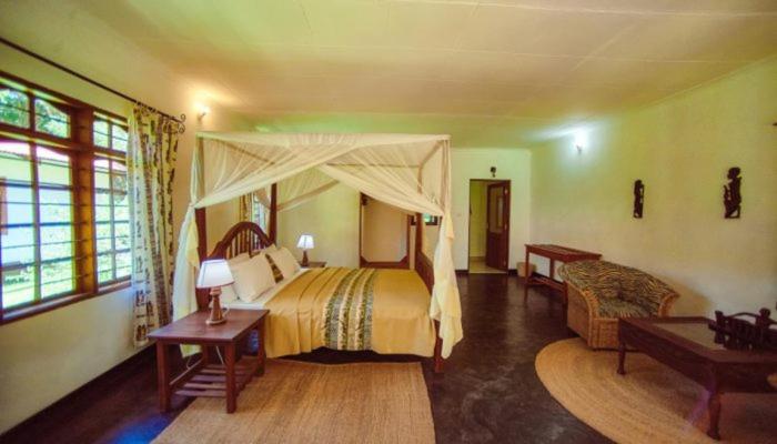 Standard King Room