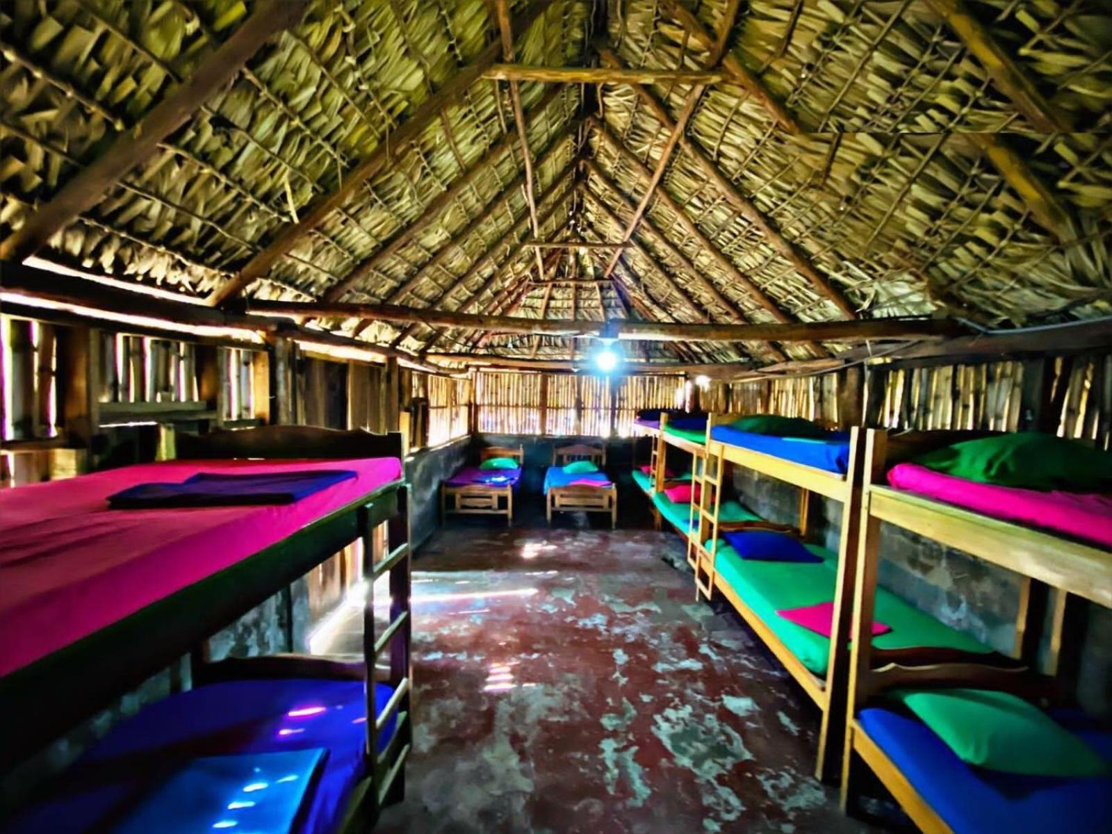 Single Bed In Dormitory Room photo 1