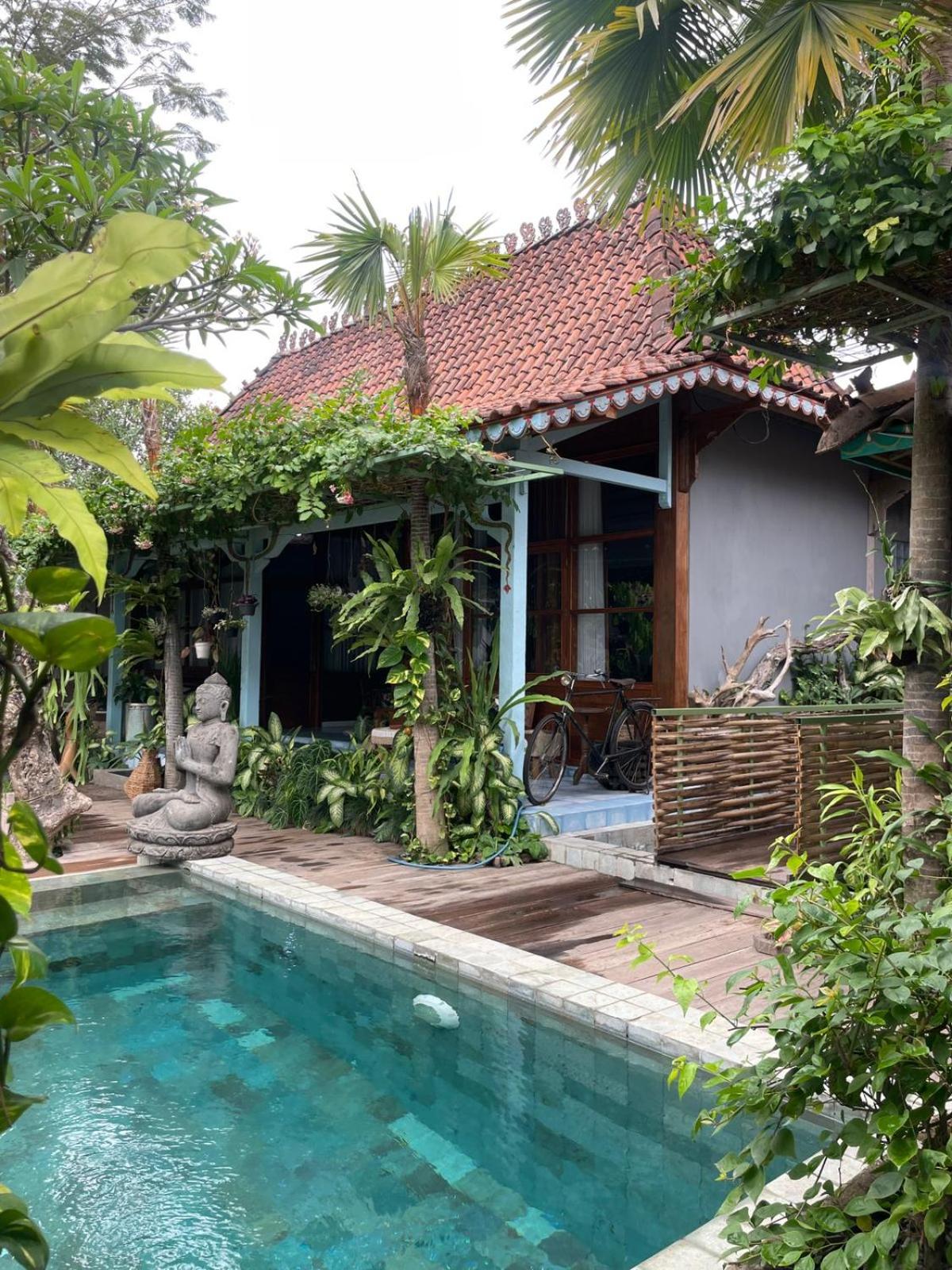 Double Room with Pool View photo 2