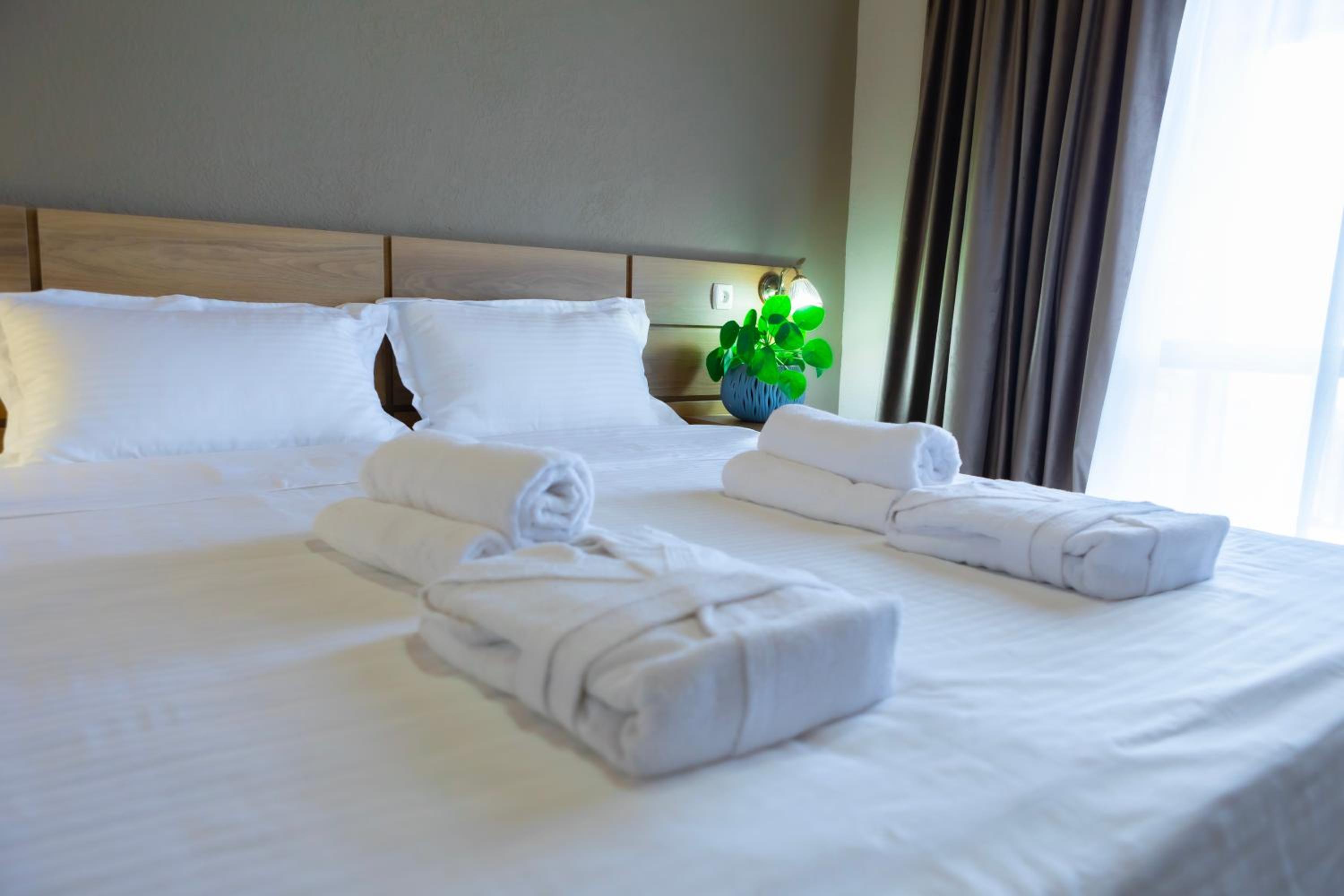 Double or Twin Room with Mountain View photo 1