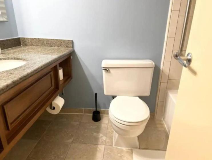 Deluxe Suite photo 3