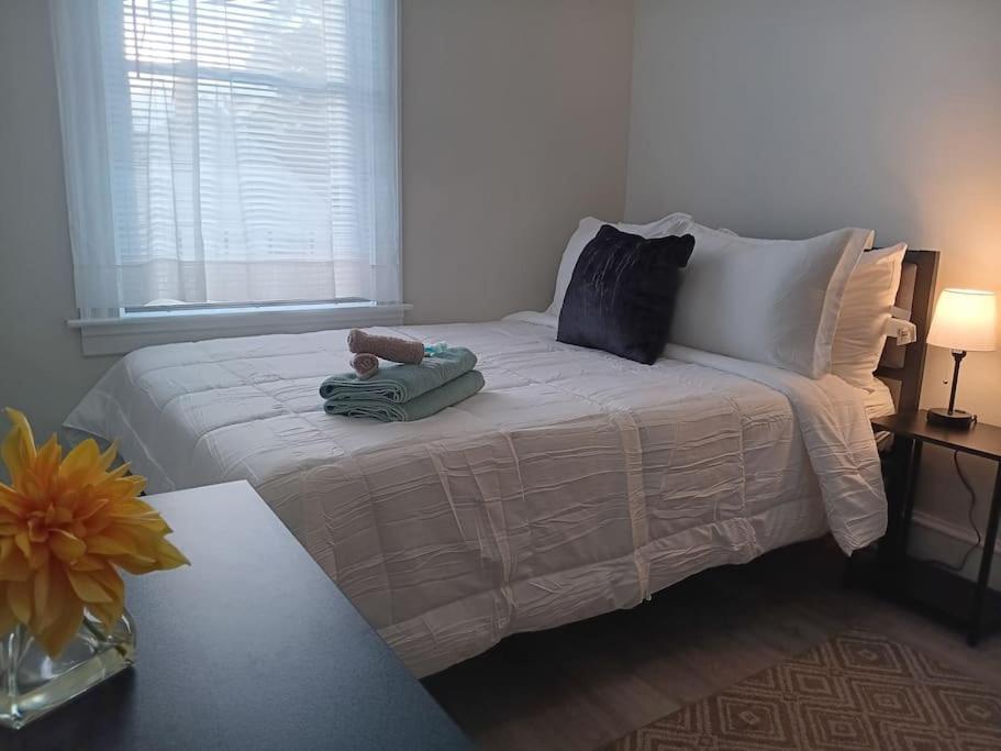Single Room photo 1