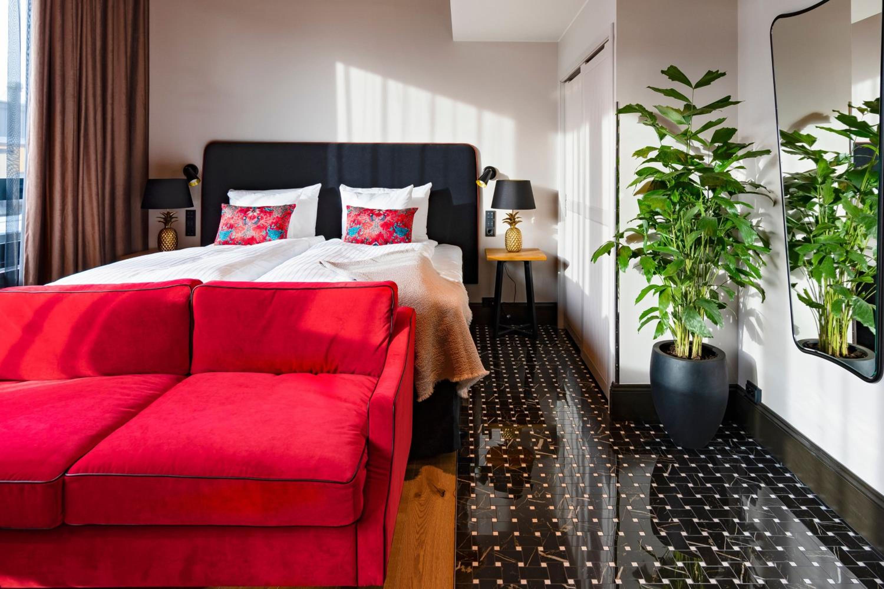 Trendy, 1 King bed  - Photo 3