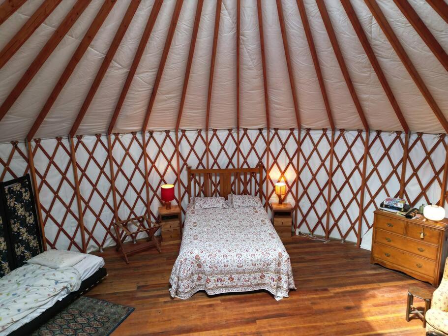 One-Bedroom House photo 3