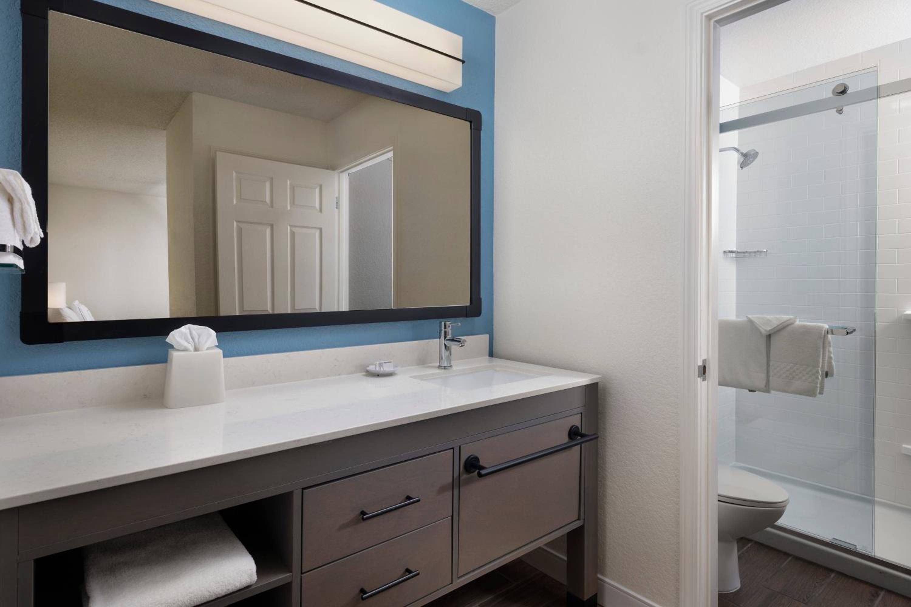 Queen Studio with Sofa Bed & Roll-in Shower – Mobility Accessible photo 2