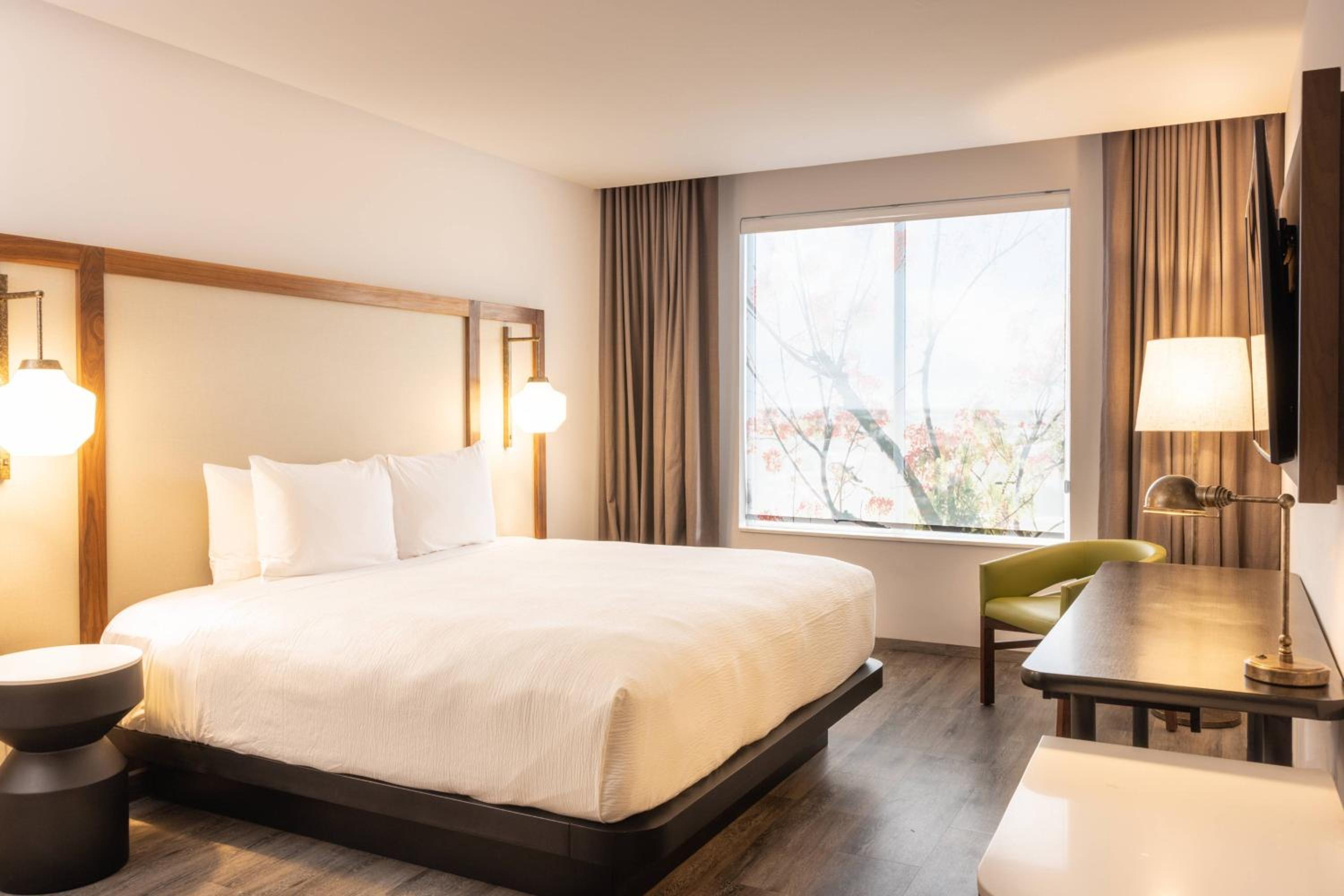 King Room