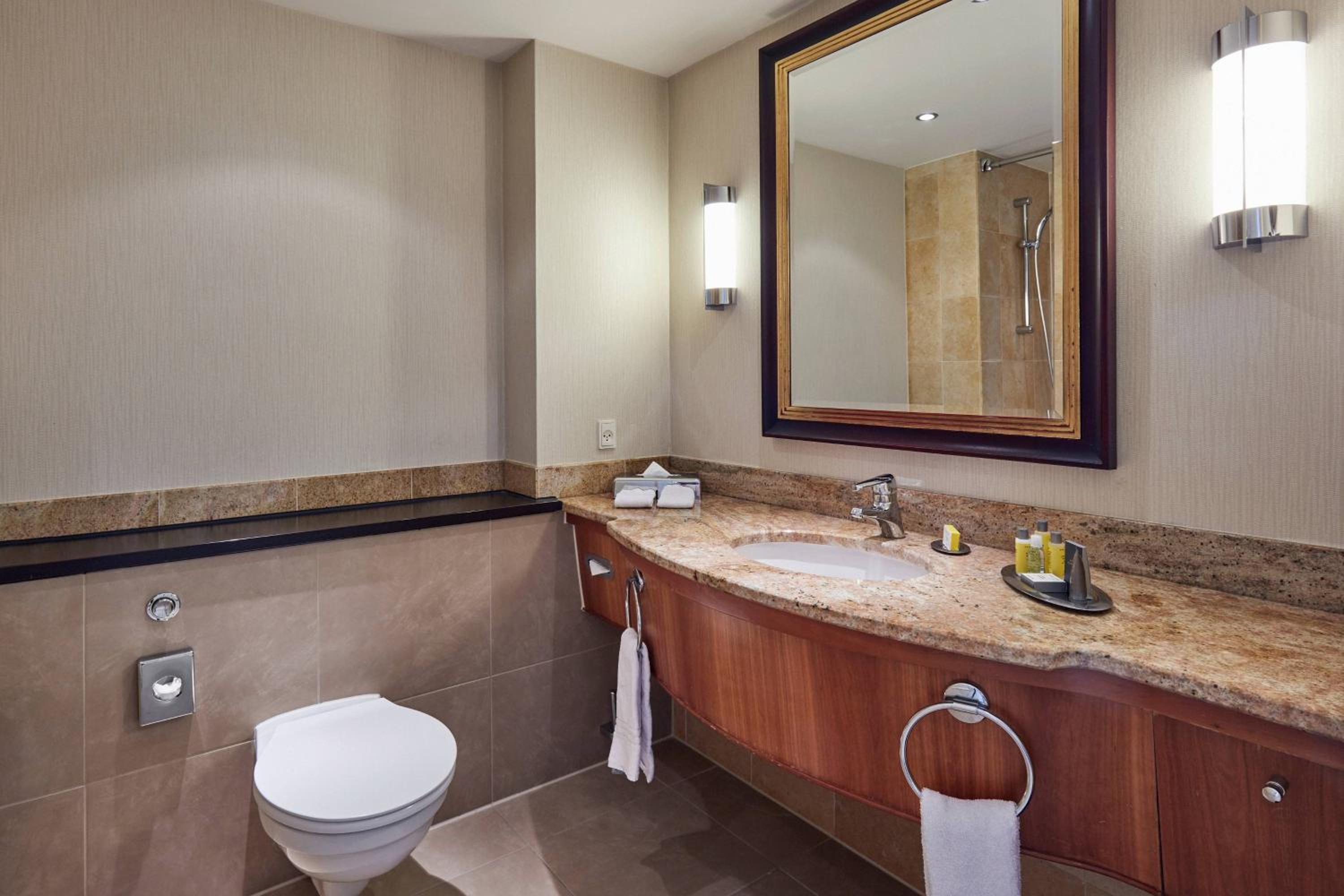 Deluxe Guest Room, 1 King, City View - Photo 8