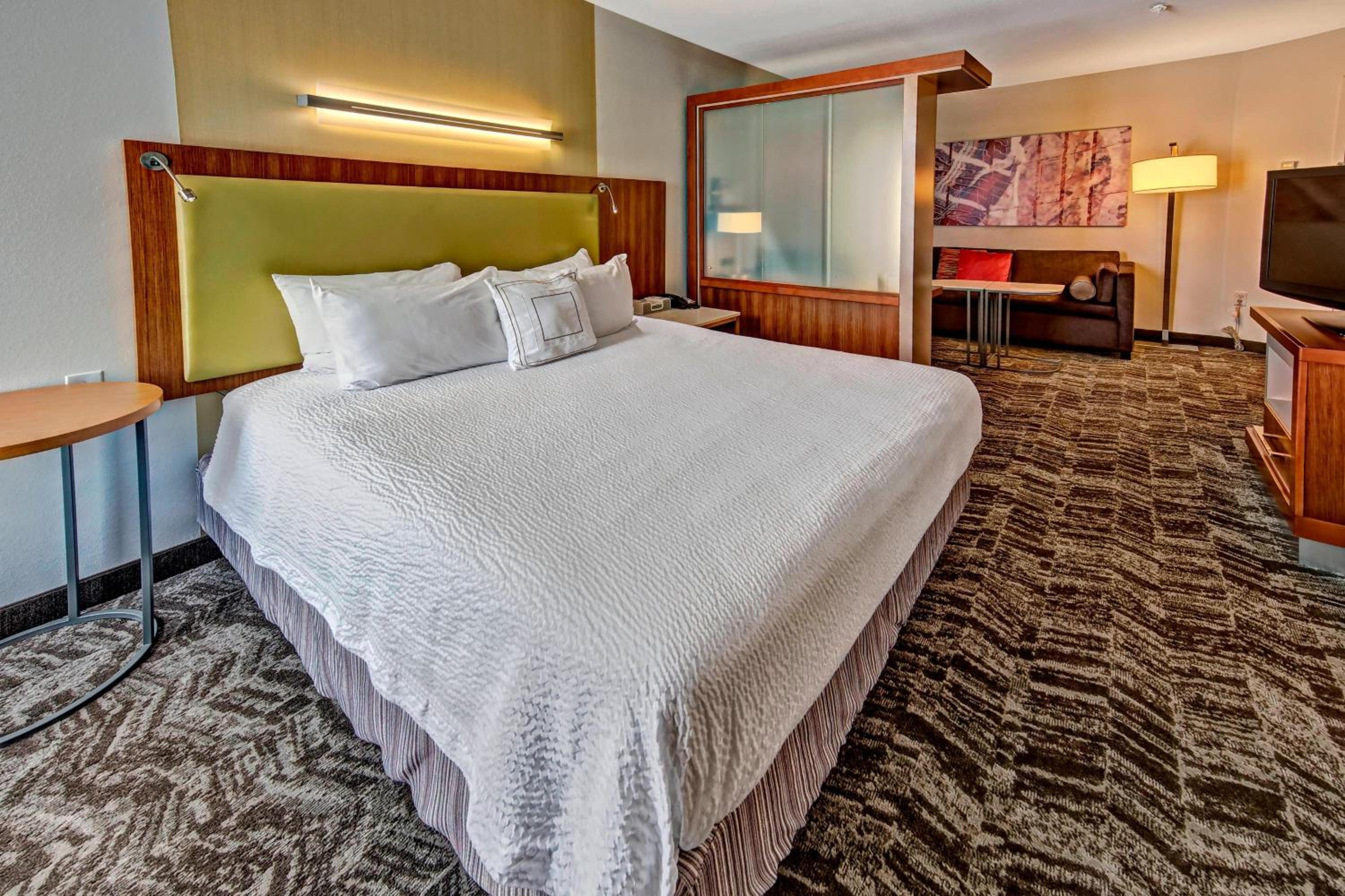 King Suite with Sofa Bed