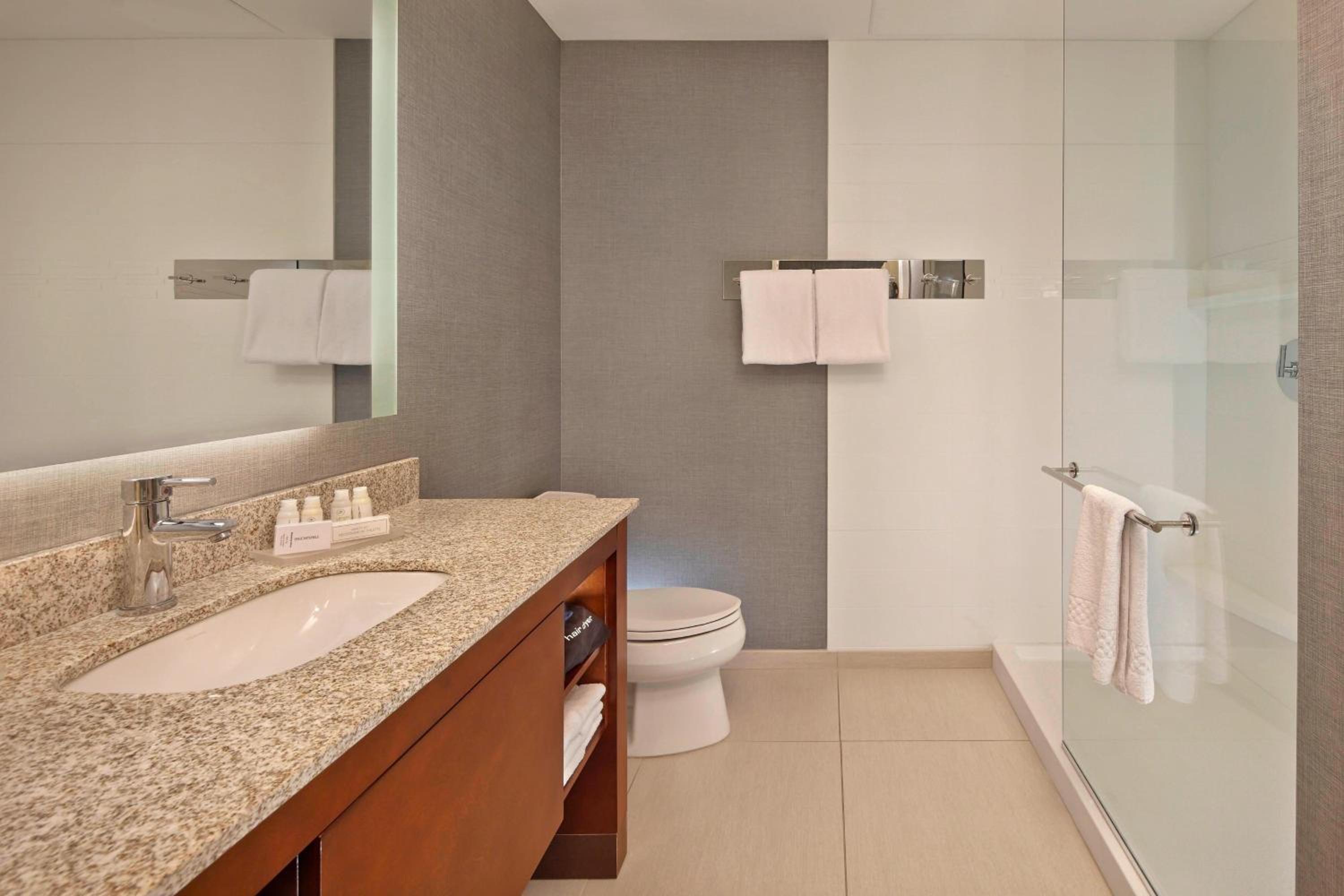 One-Bedroom King Suite