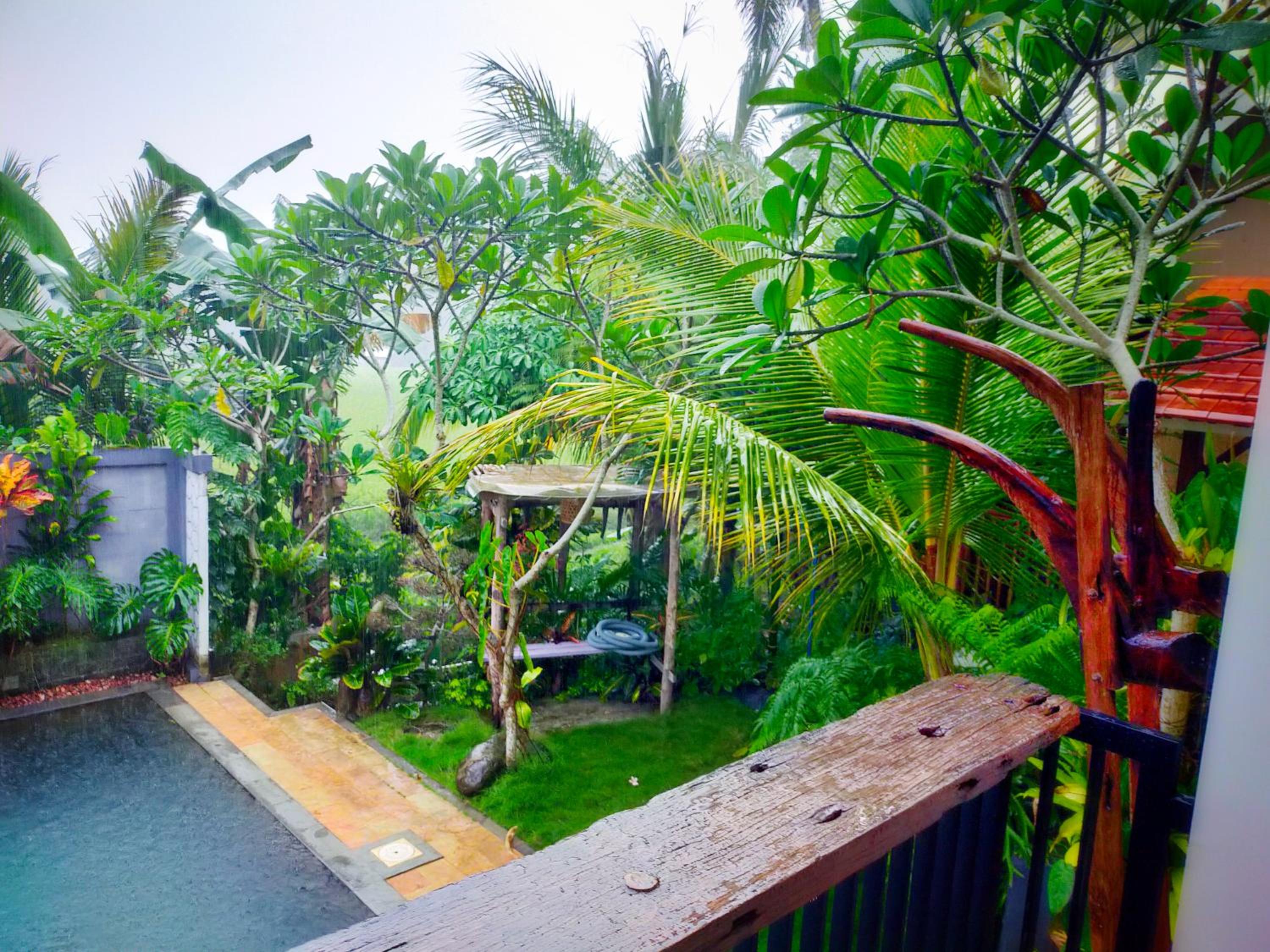 Double Room with Pool View photo 3