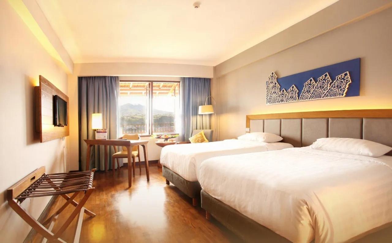 Superior Single Room