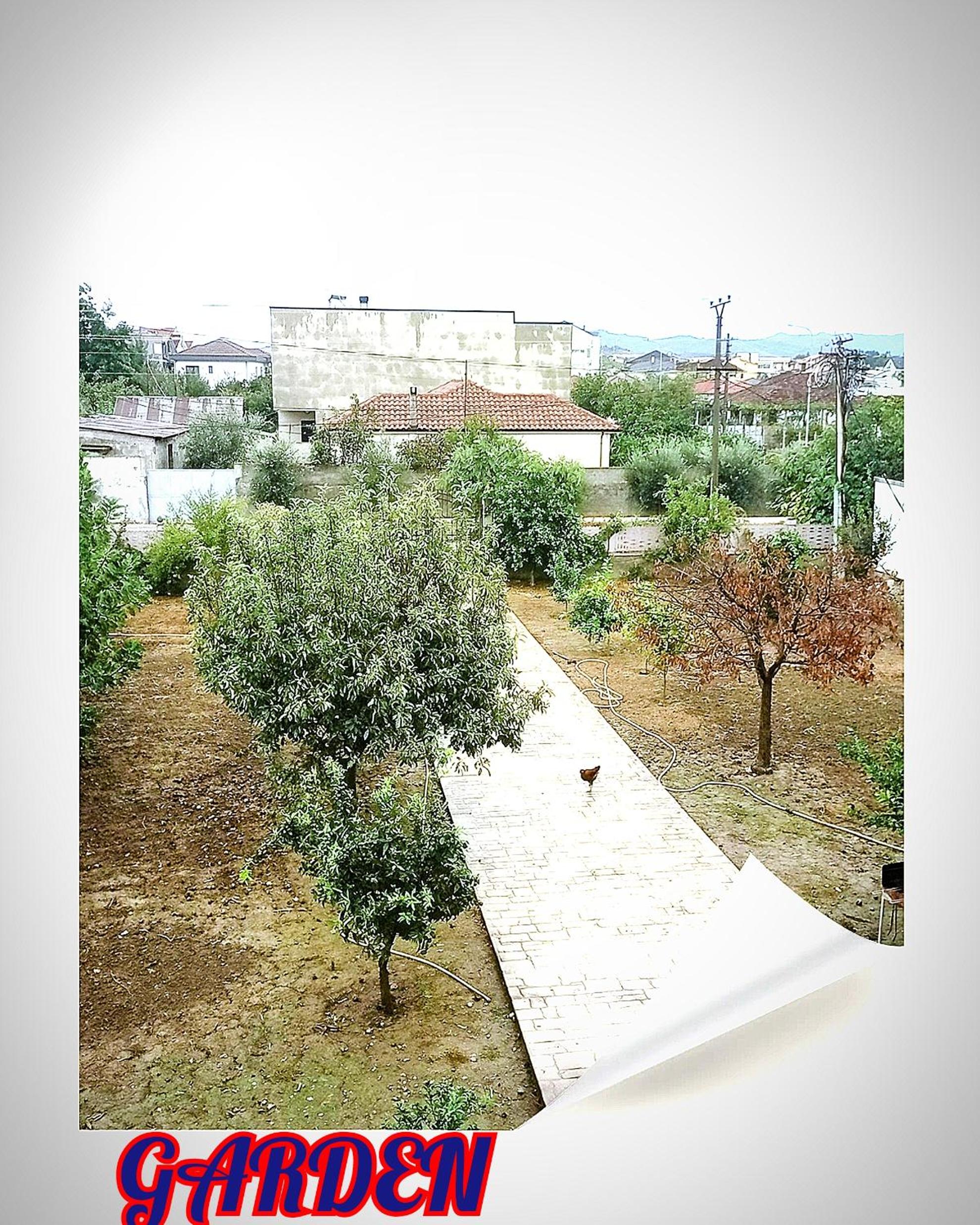 Apartment with Garden View photo 2
