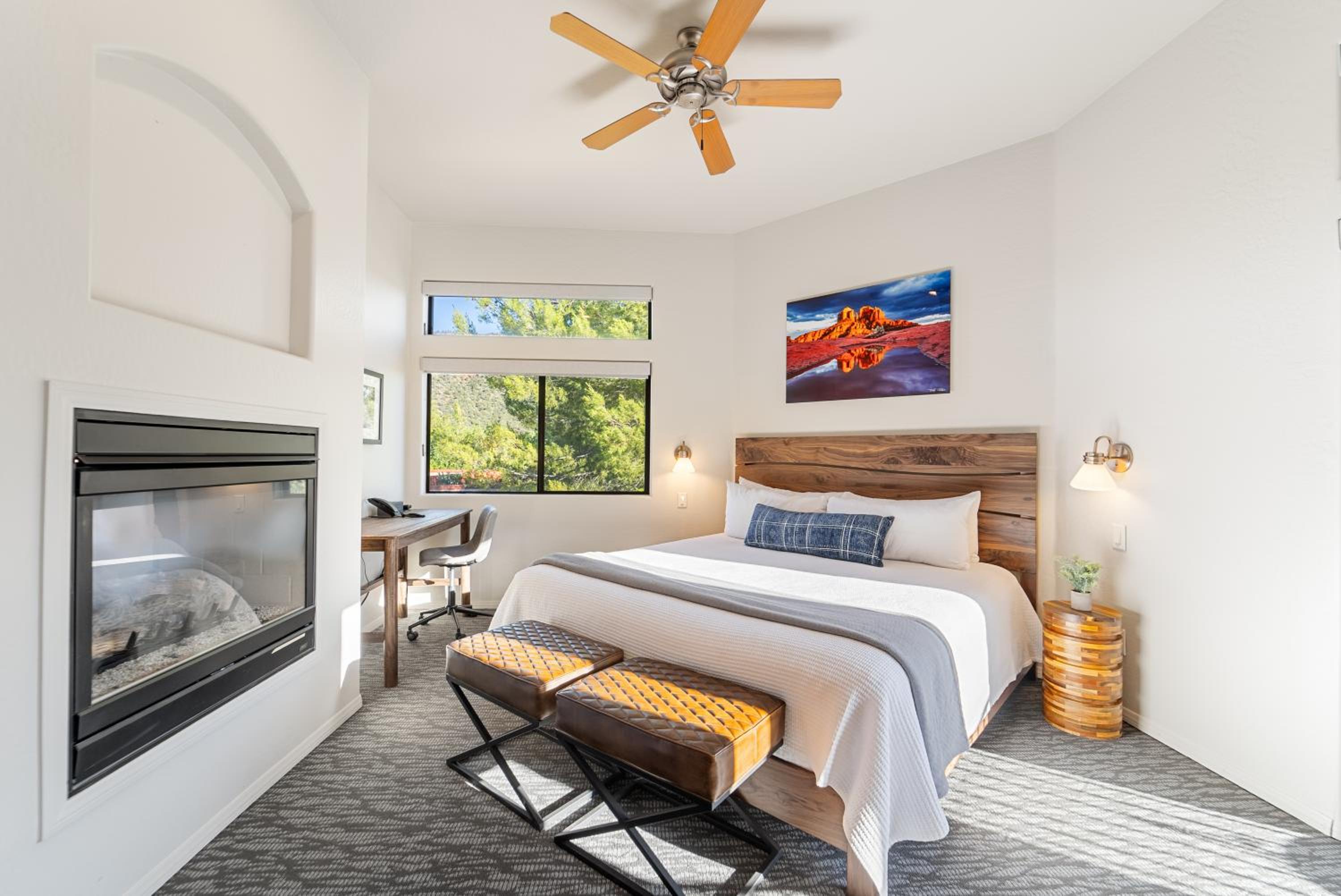 Premium Suite - Photo 1