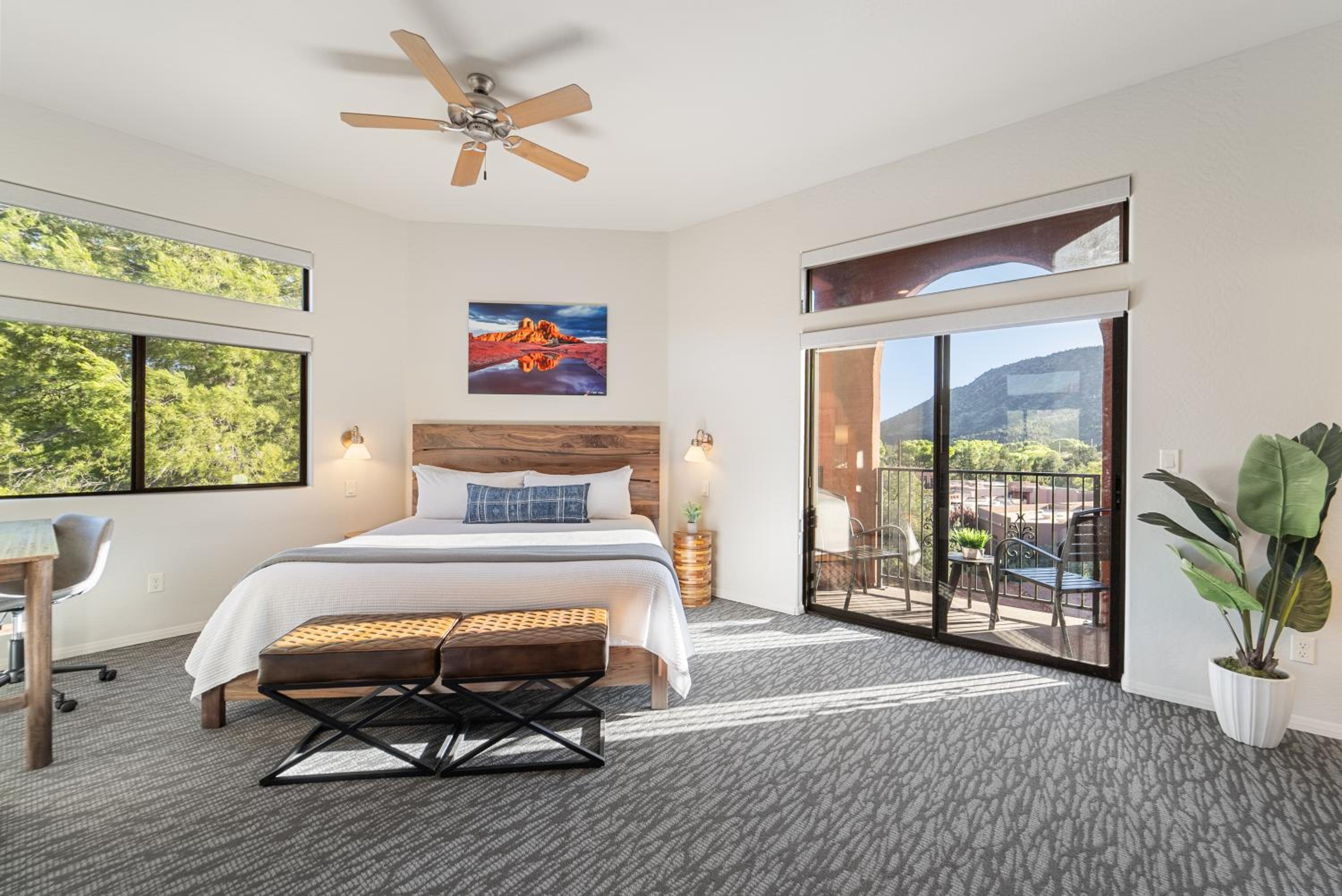 Premium Suite - Photo 4