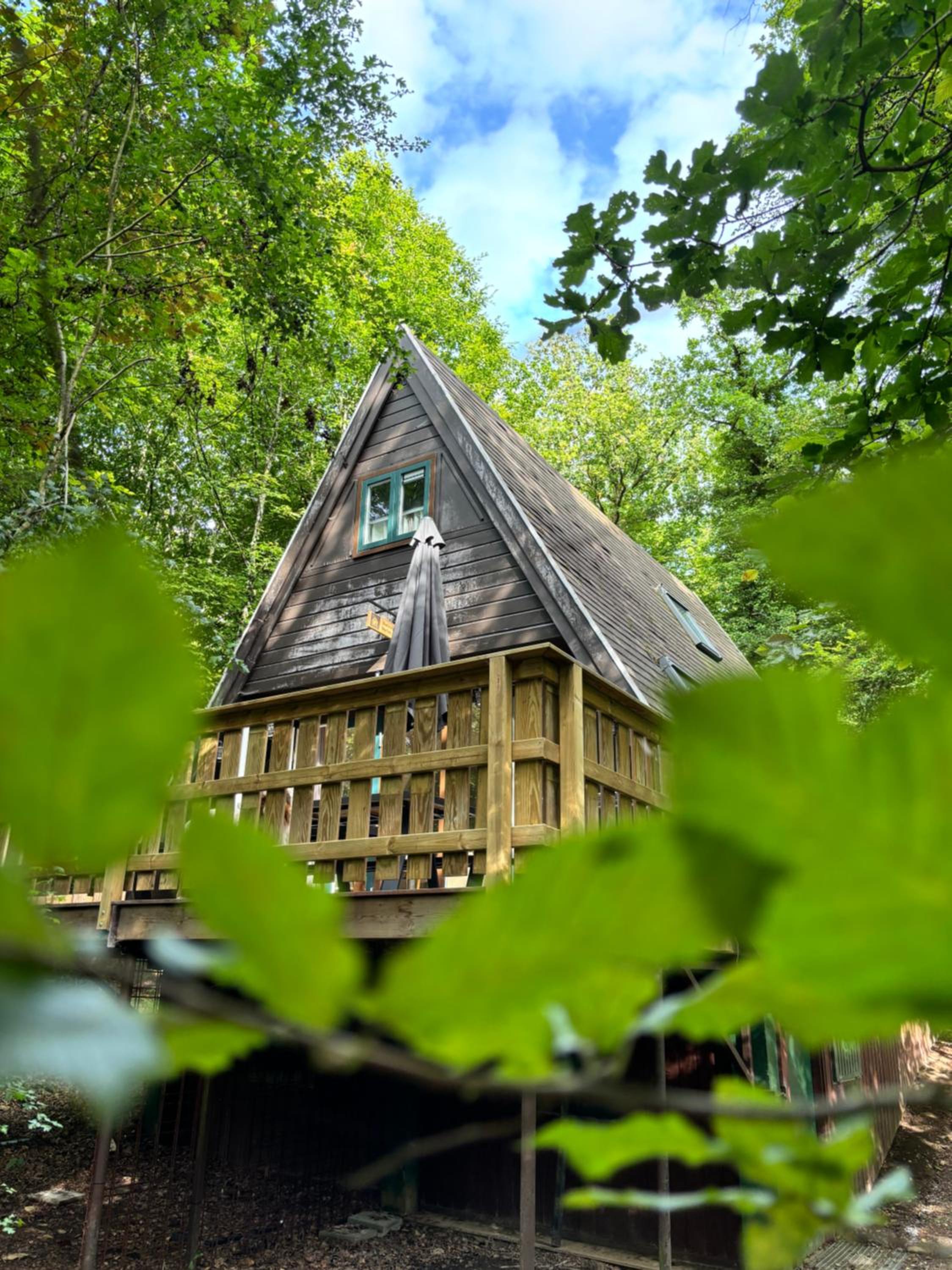 Three-Bedroom Chalet photo 1