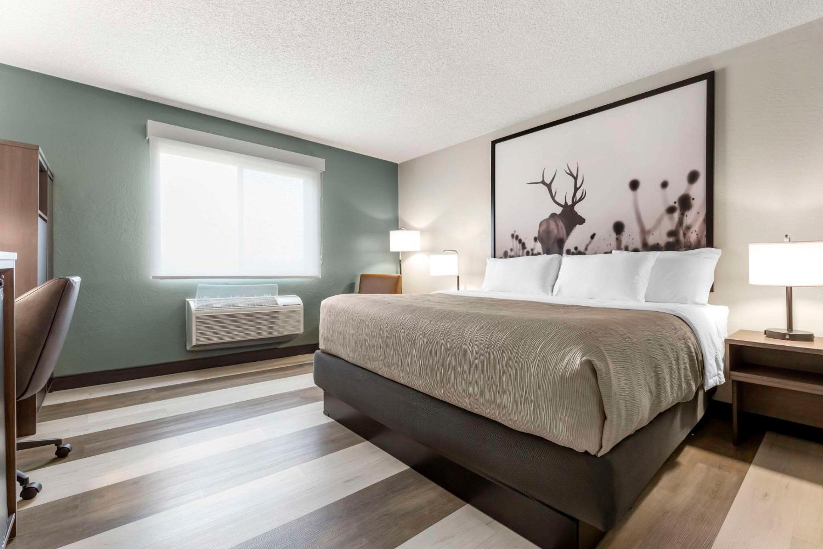 King Room - Non-Smoking - Photo 1