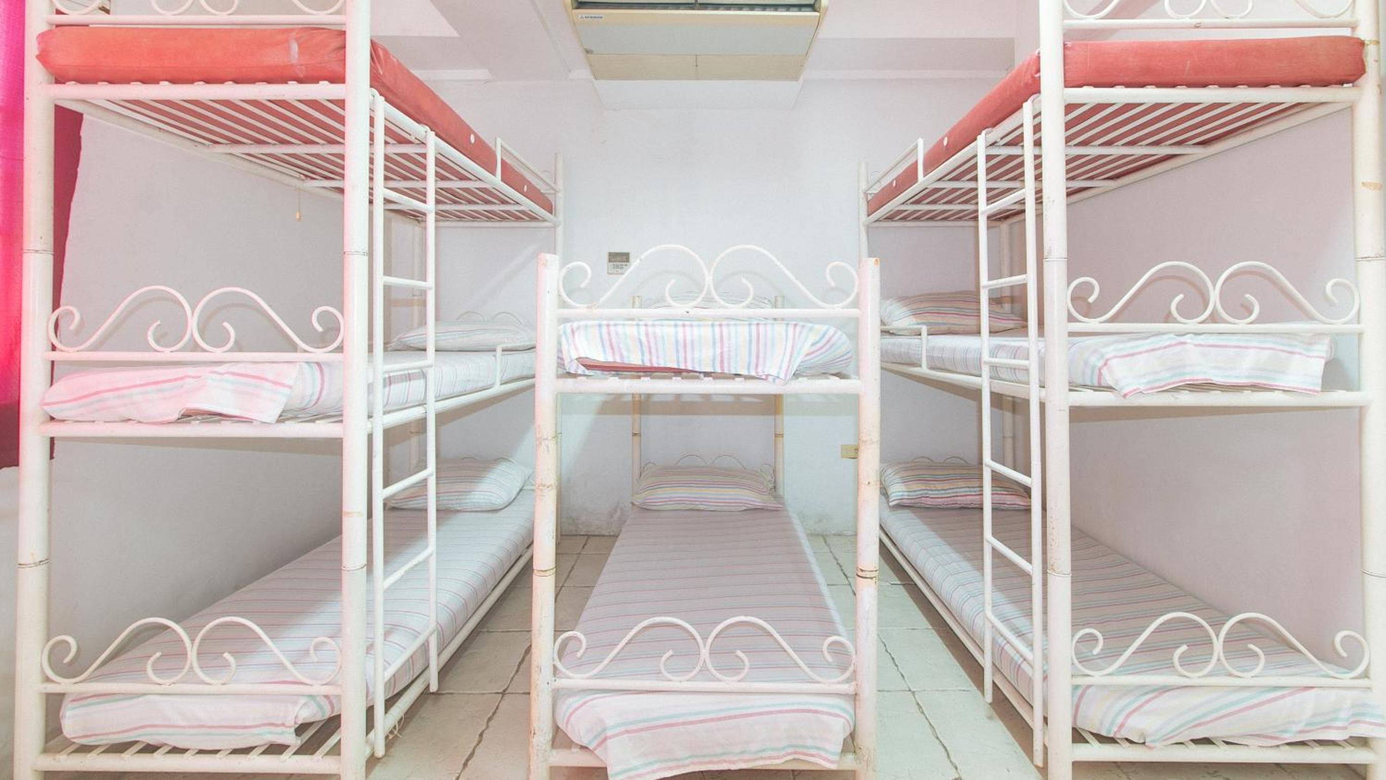 Bunk Bed in a Mixed Dormitory photo 1
