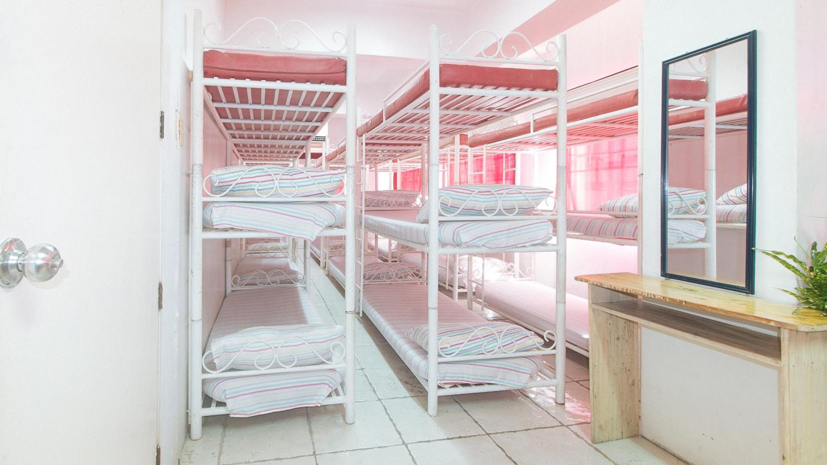 Bunk Bed in a Mixed Dormitory photo 2