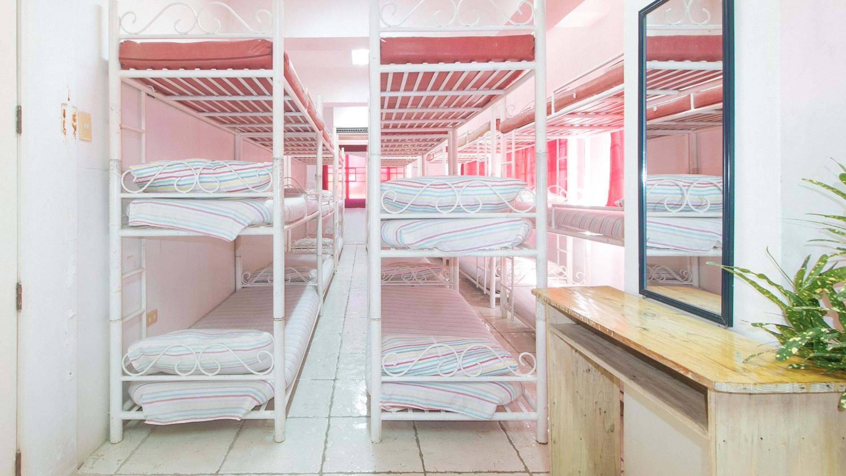 Bunk Bed in a Mixed Dormitory photo 3