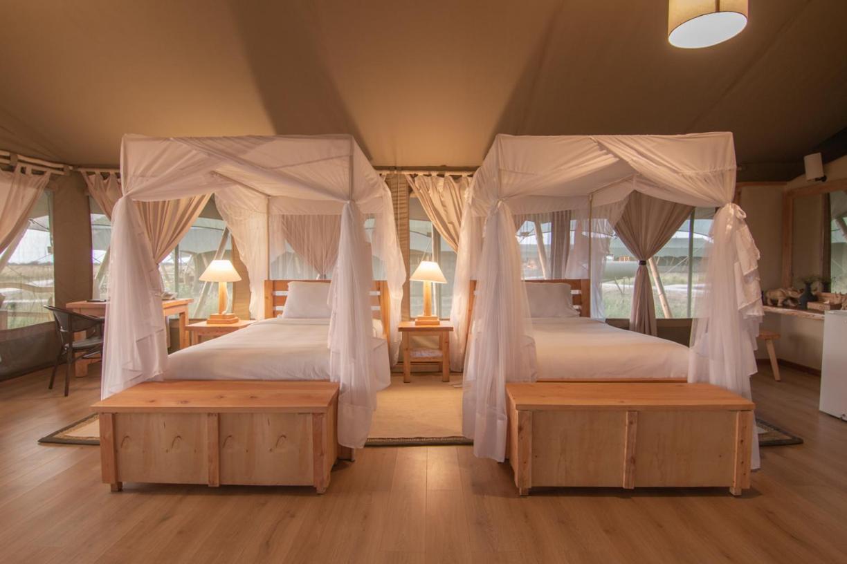 Morani Twin Room photo 1