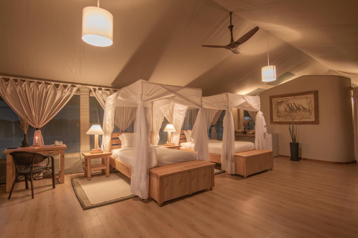 Morani Twin Room photo 2