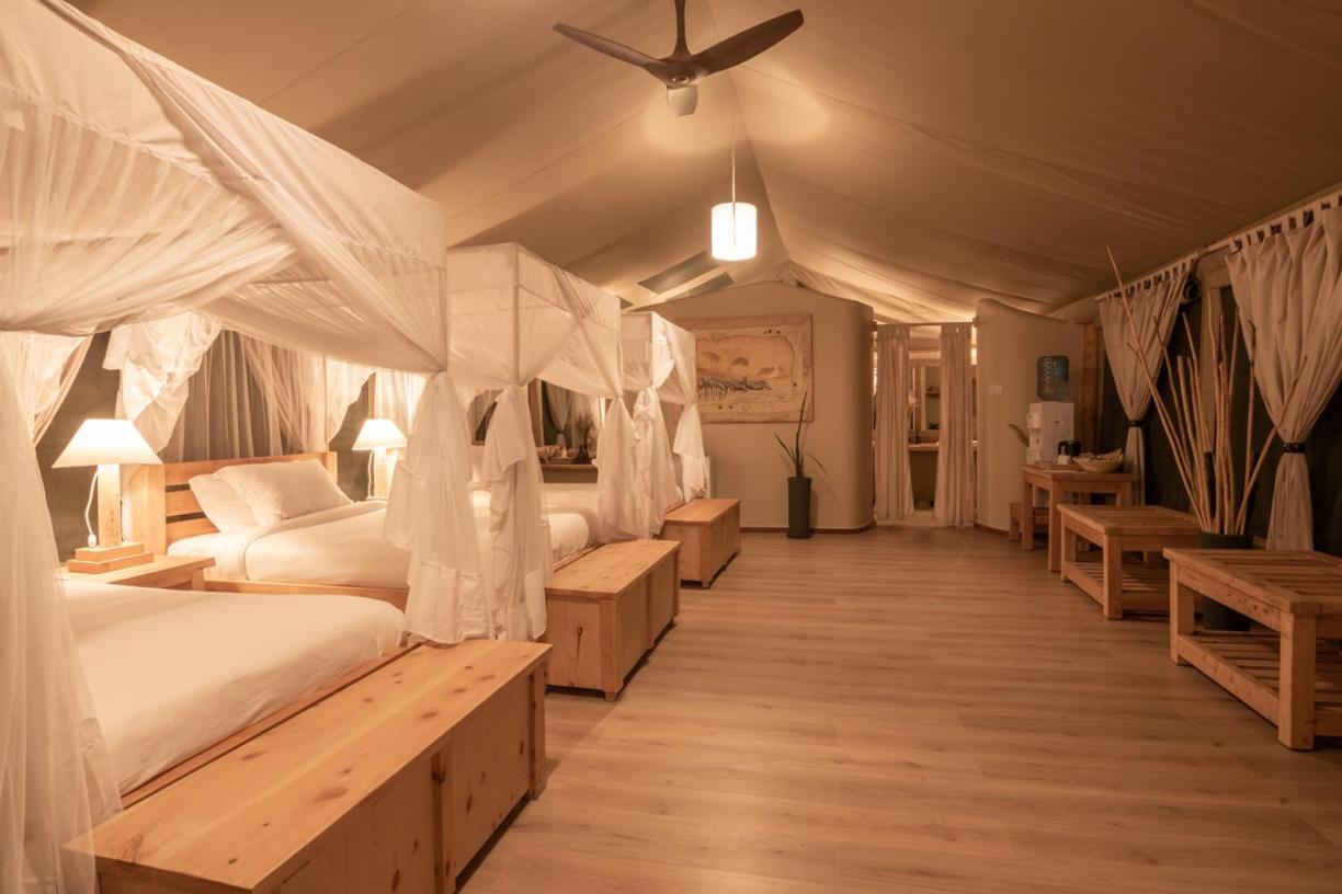 Morani Triple Room photo 2