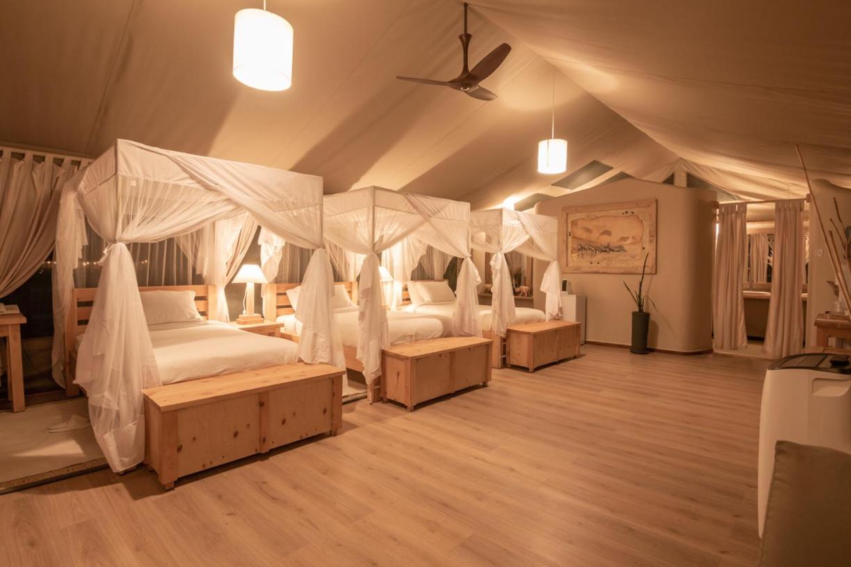 Morani Triple Room photo 3